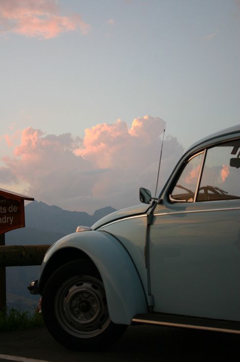 Kever in de ochtendzon