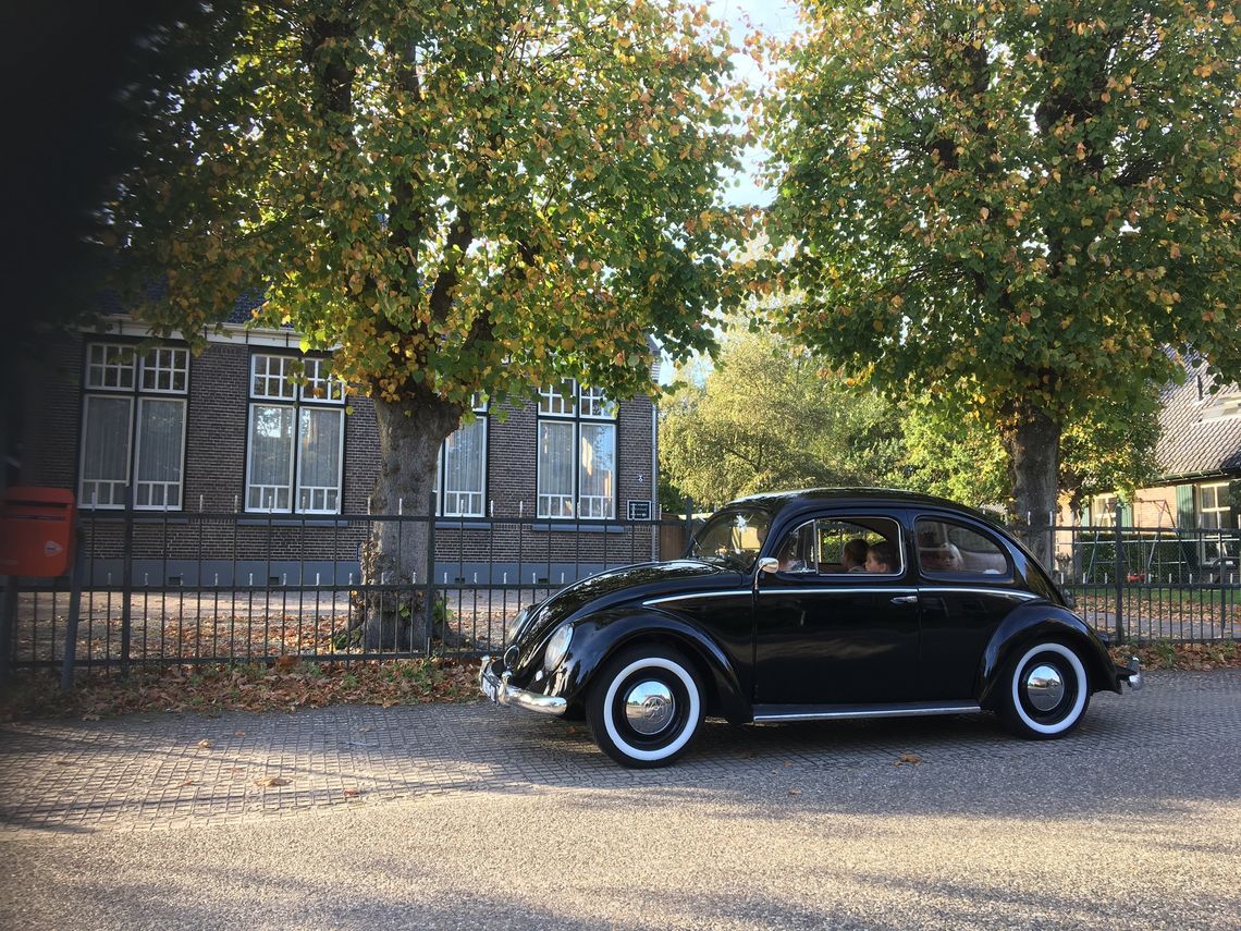 vw kever ovaal gortel