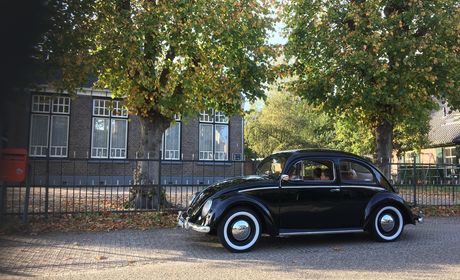 vw kever ovaal gortel